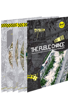 THE PUBLIC CHANCE PDF DIGITAL FILES